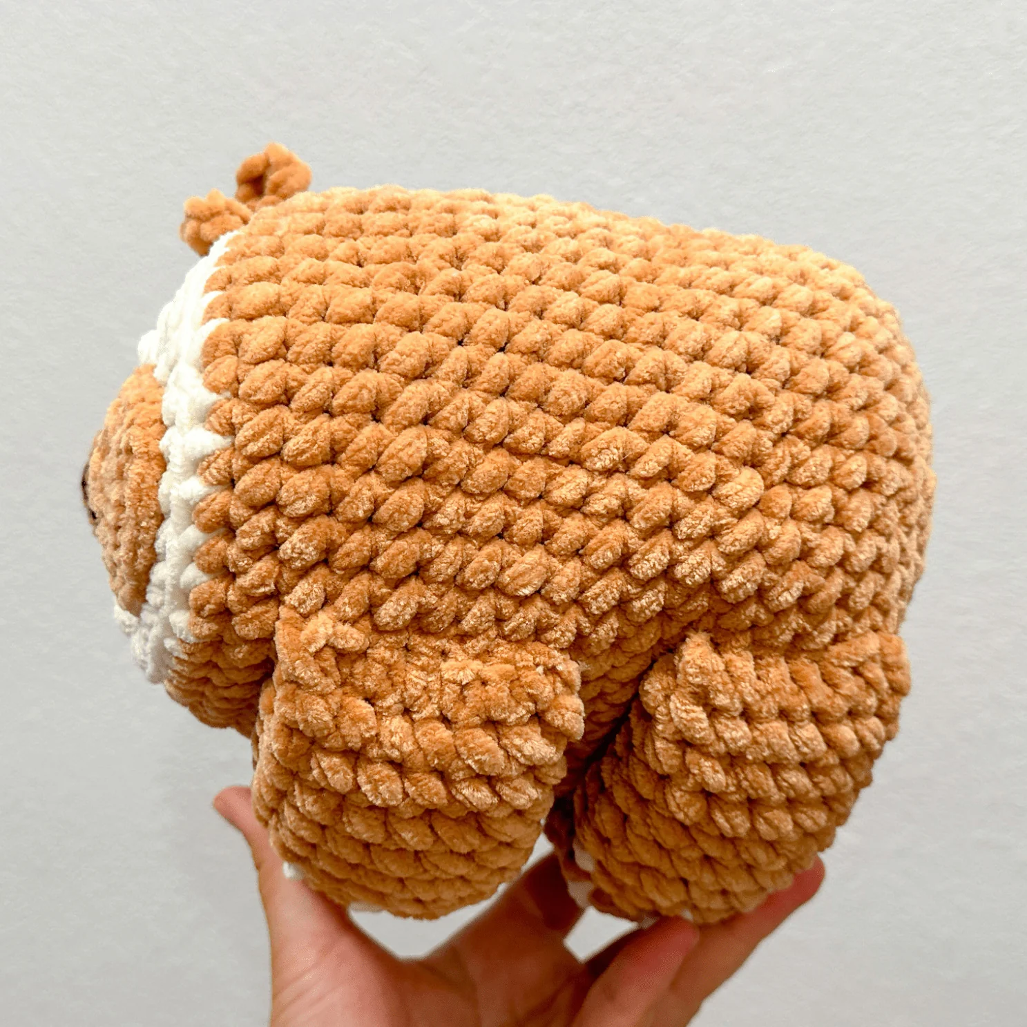 Giant Sloth - Image 3