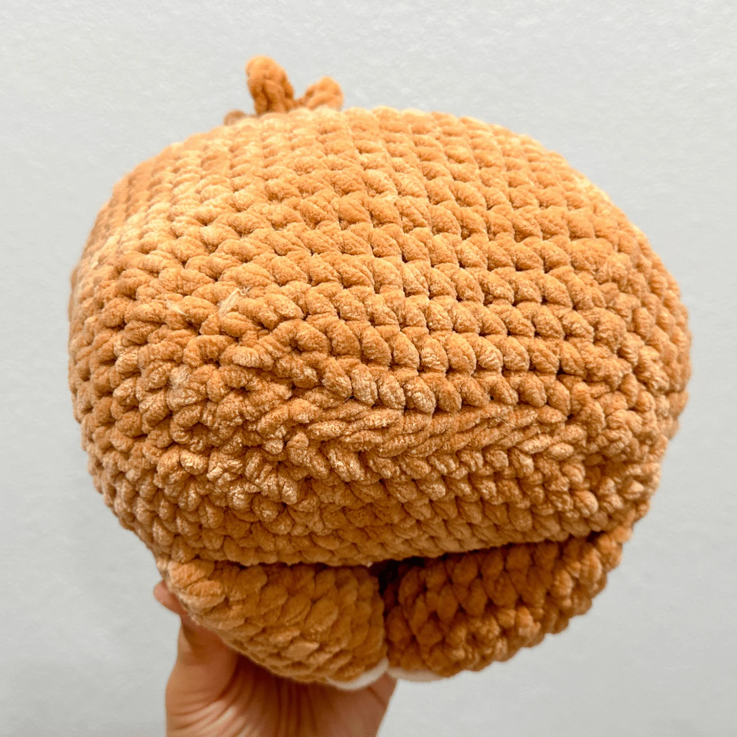 Giant Sloth - Image 6